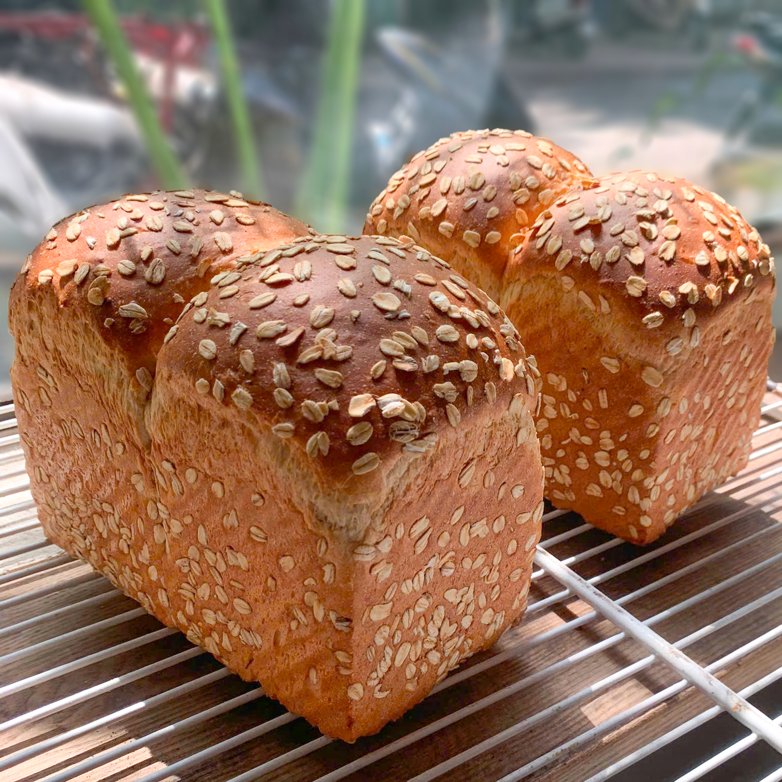 Oat Whole Wheat Sandwich