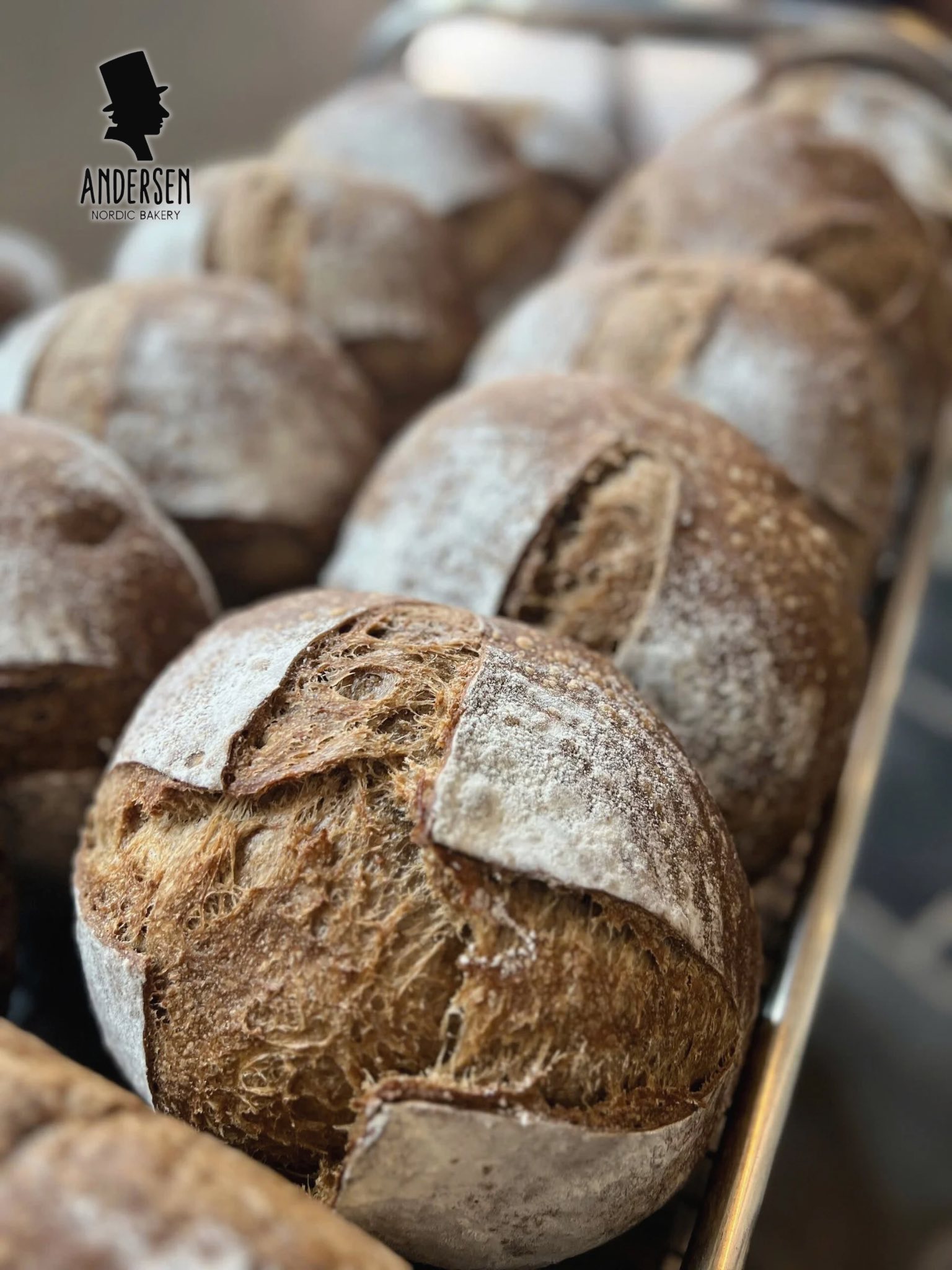 Artisan Sourdough