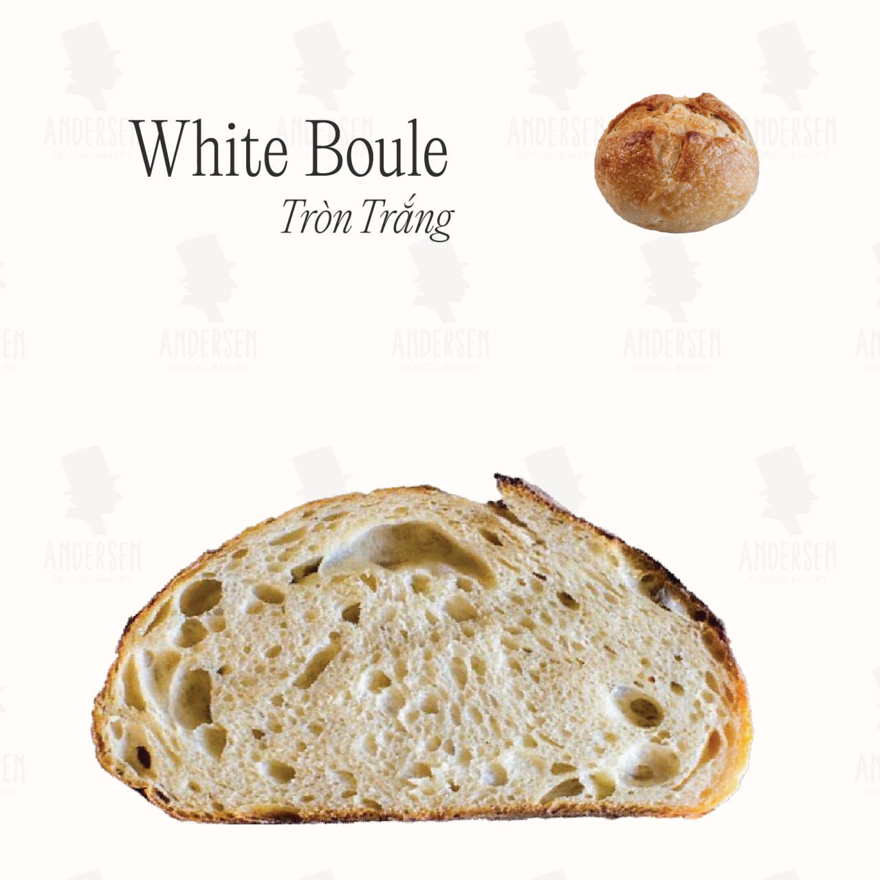 White Boule