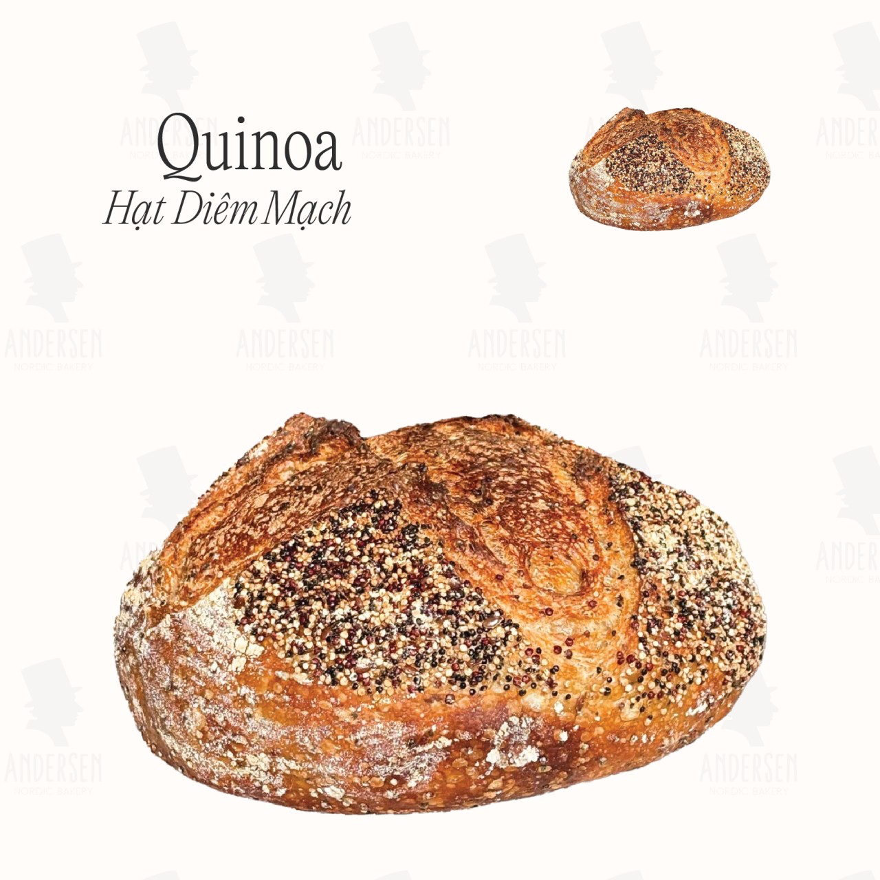 Quinoa